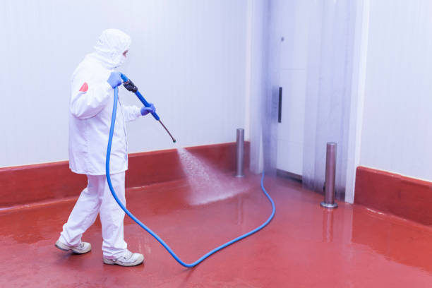 Best Pool Deck Cleaning  in Brielle, NJ